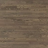 ASH SATURN OILED
